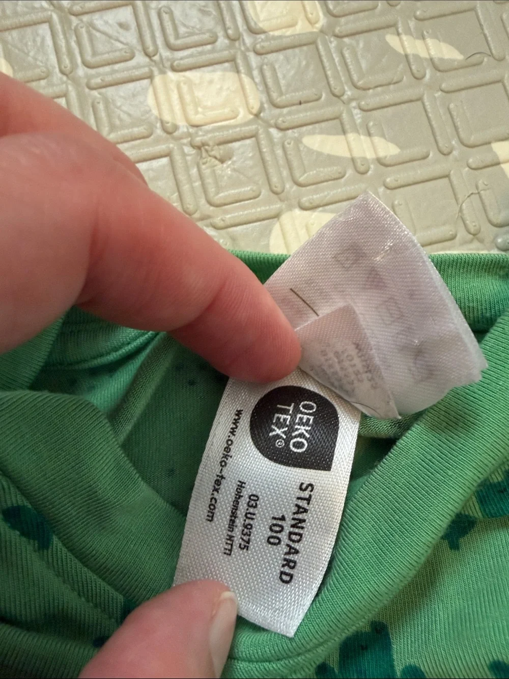 Hanna Andersson Green Frog & Stripe Shorts Set